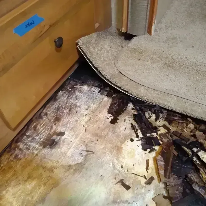 Wood Floor Water Damage in Solomon, KS